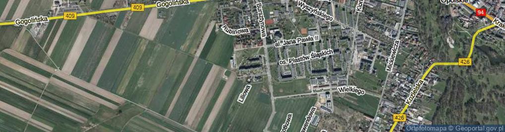 Zdjęcie satelitarne Króla Władysława Łokietka ul.